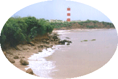 Gopnath Beach, Talaja, Bhavnagar District, Gujarat, 364135